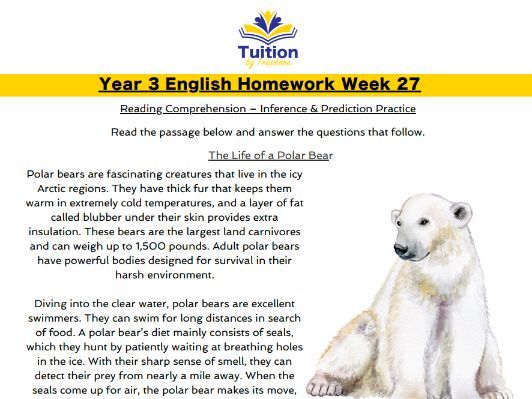 27. Year 3 - Reading Comprehension & Apostrophes for Contraction