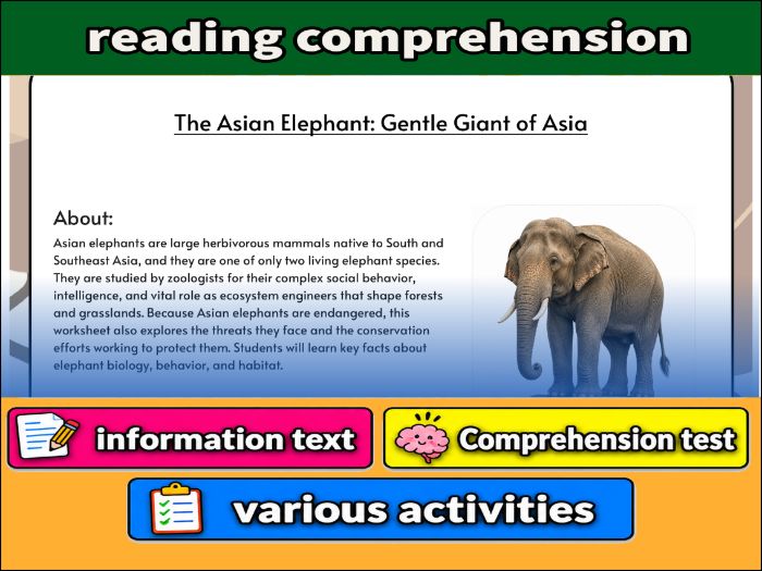 The Asian Elephant: Gentle Giant of Asia - zoology & Activities