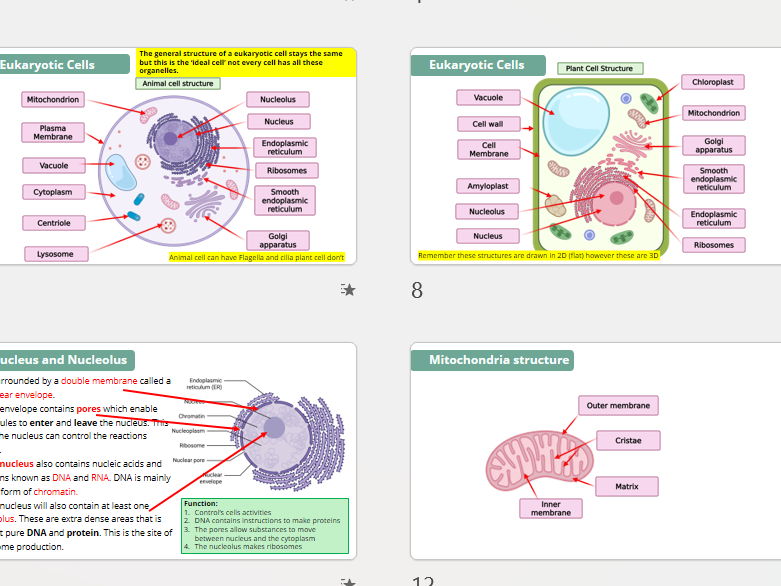 3A.2 Eukaryotic Cells Pearson Edexcel International A Level Biology