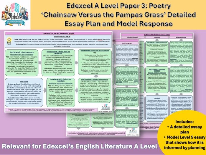 'Chainsaw Versus the Pampas Grass' A Level Essay Plan and Model Response