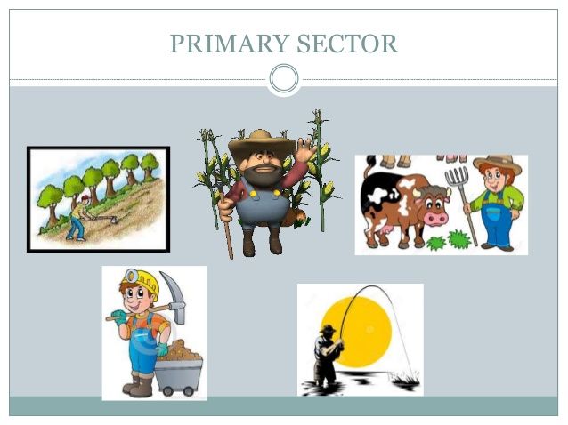 Primary Economic Activities - New Junior Cycle