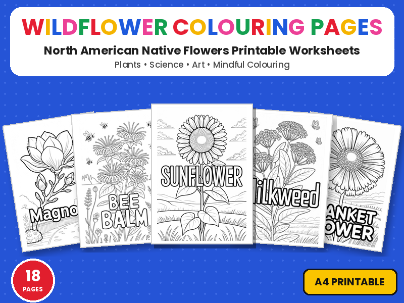 USA Native Flowers Colouring Pages | Printable Colouring Page Worksheets | Wildflowers & Plants