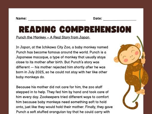 Punch the monkey Reading Comprehension KS2