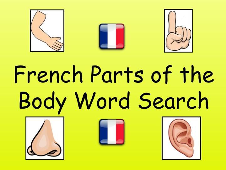 French Parts of the Body Word Search
