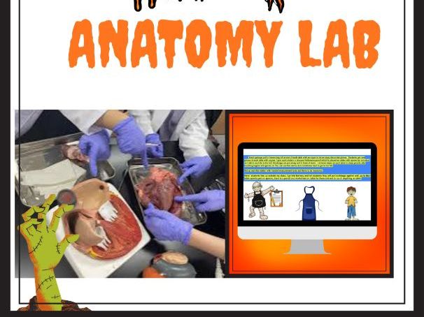 Gross Halloween Anatomy Lab AP Biology Dissection & Human Body Measurements