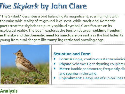 The Skylark by John Clare - Concise 1-Page Detailed Summary