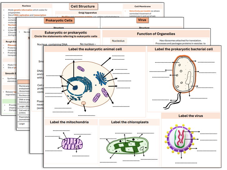 Eukaryotic and Prokaryotic cells and Viruses