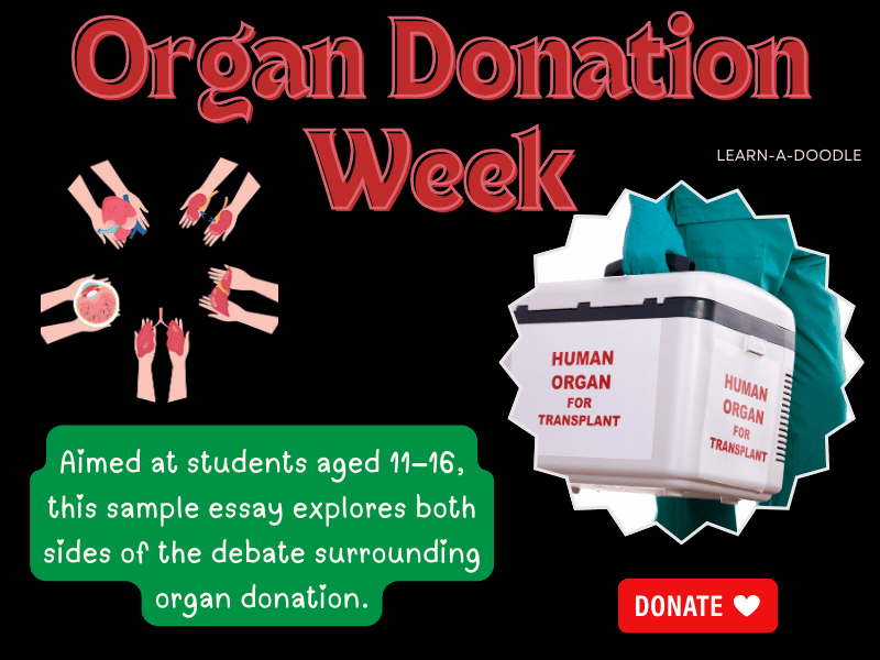 Compare & Contrast Essay Sample: Is Donating Your Organs a Good Idea – or Not?