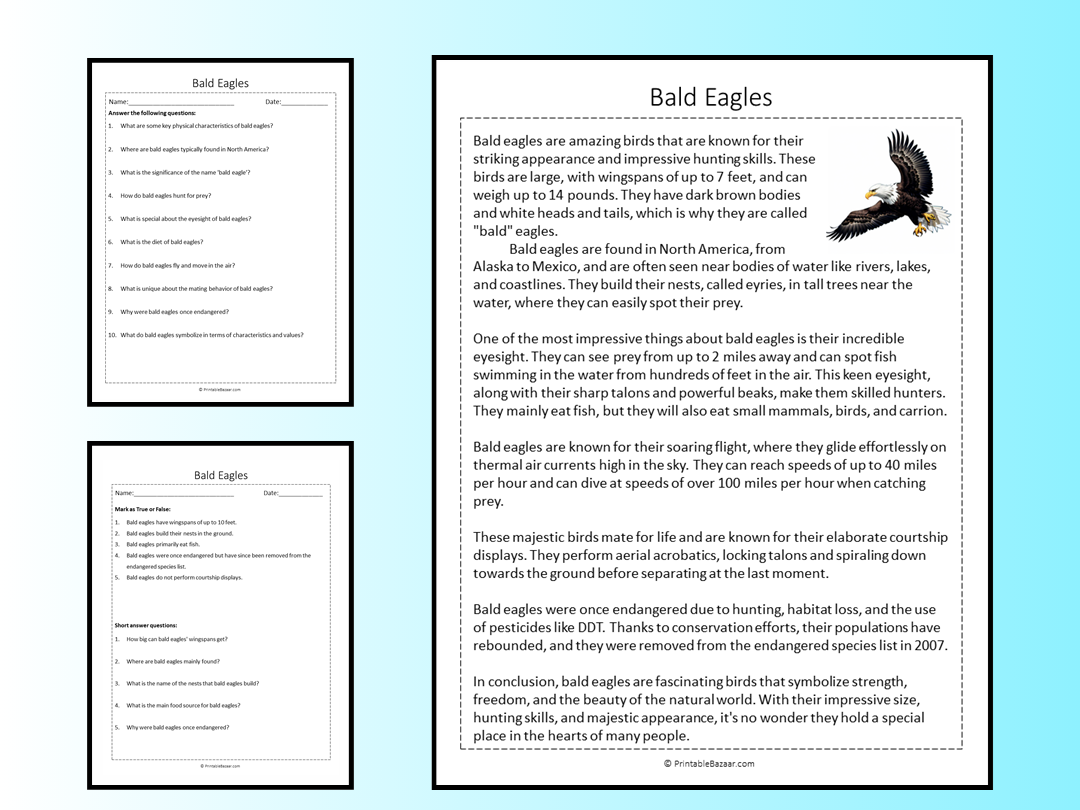 Bald Eagles Reading Comprehension Passage Printable Worksheet ...