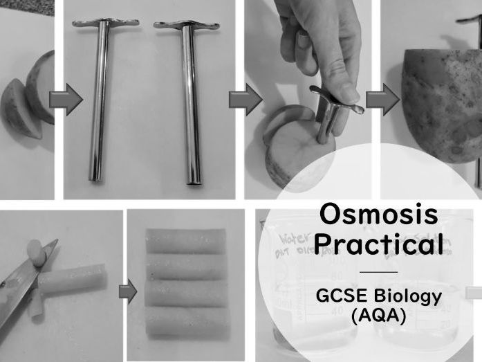 Osmosis Practical (Potato) Teaching Resources