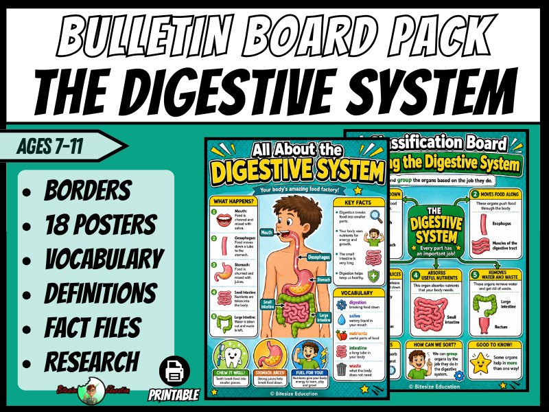 The Digestive System | Bulletin Board Display | Posters, Timeline, Map & Vocab