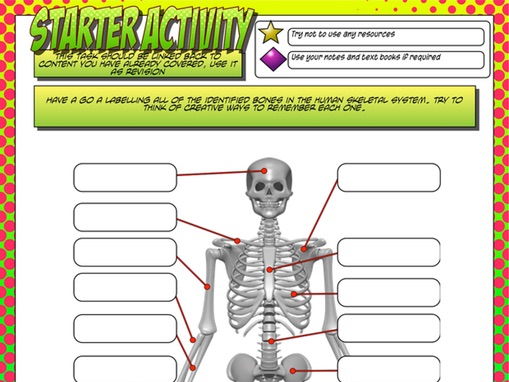 Pe homework help