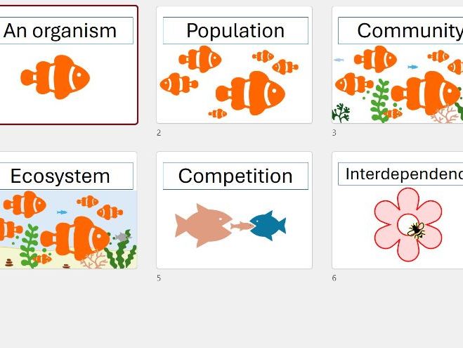 Ecology keywords posters / visuals