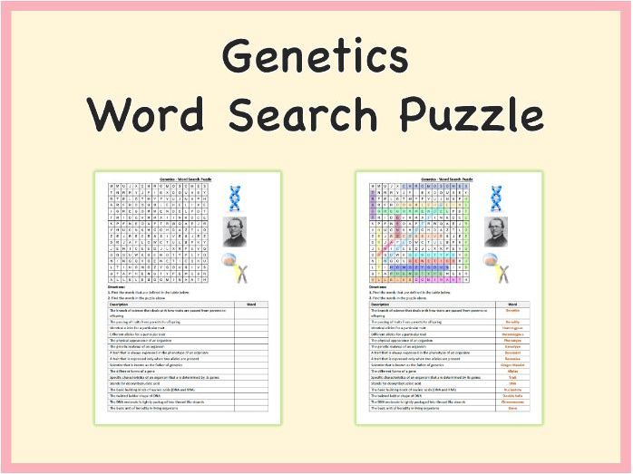 Genetics - Word Search Puzzle Worksheet Activity (Printable PDF)