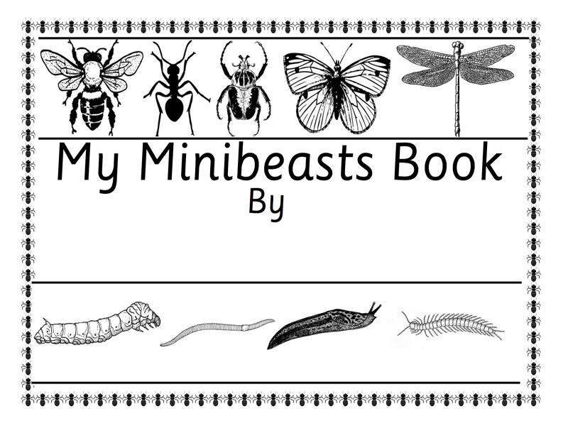 30 Page UK Minibeasts Bugs Insects Student Fact & Workbook A4