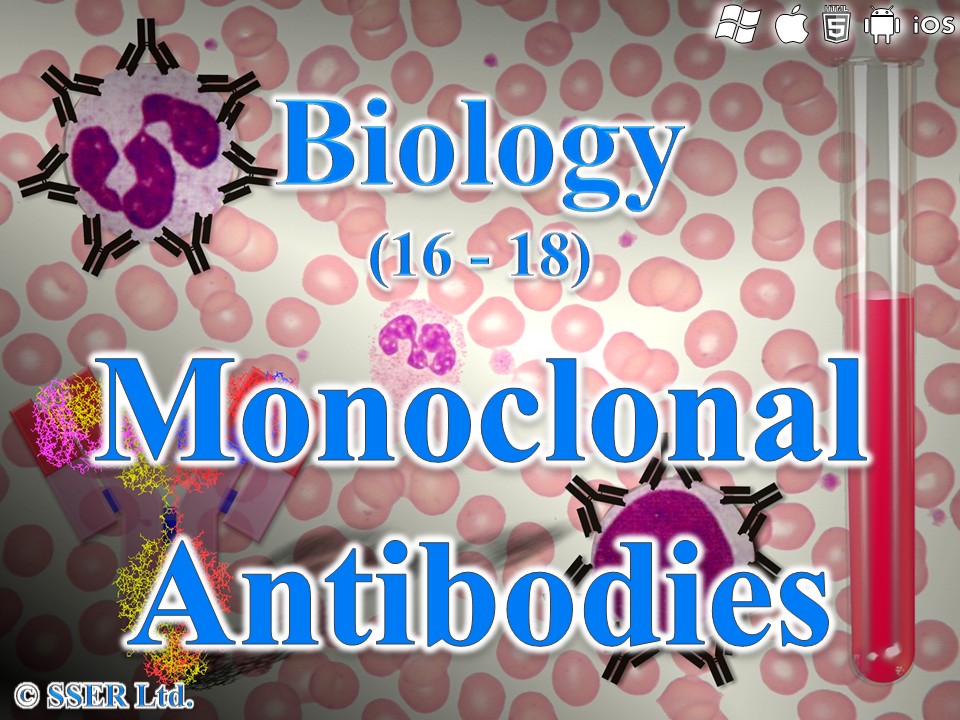 BioA_3.2.4 Monoclonal Antibodies