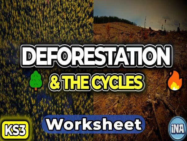 Deforestation and the Carbon and Water Cycles - KS3 Biology Worksheet