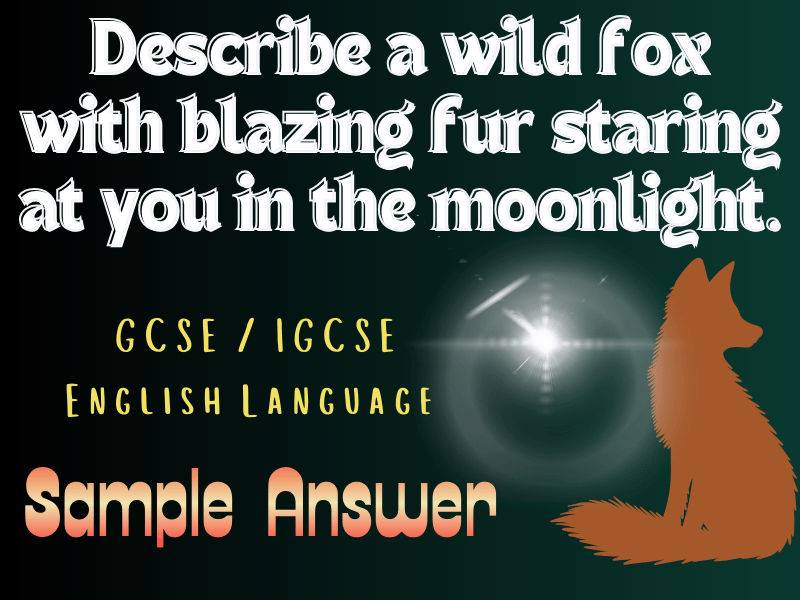 GCSE/IGCSE English Language: Describe a wild fox with blazing fur staring at you in the moonlight.