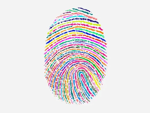 Y7 Poetry (Identity) SOW