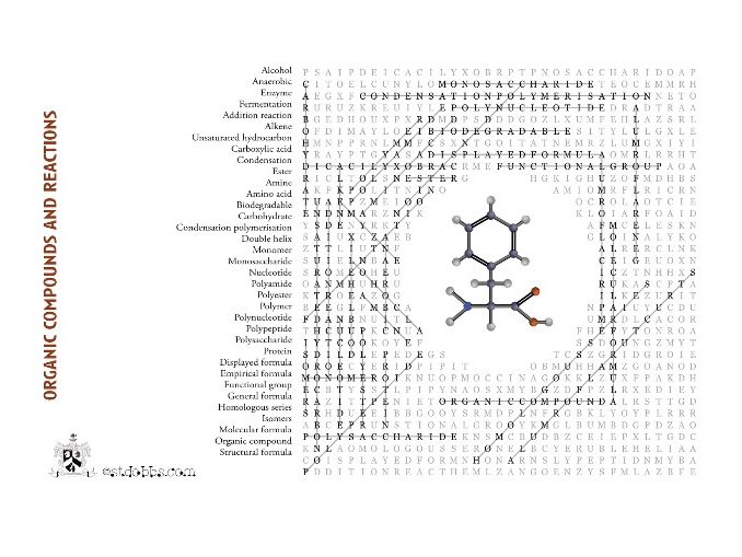 Key terms accessible glossary- organic compounds and reactions