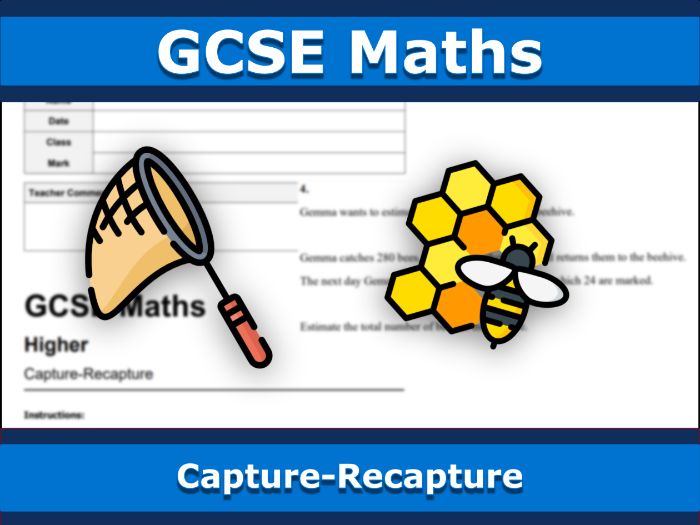 GCSE Maths | Capture-Recapture | Edexcel