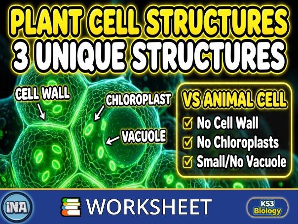Plant Cell Structures and Their Functions - KS3 Biology Worksheet