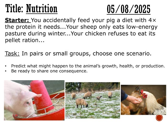 Nutrition in agriculture