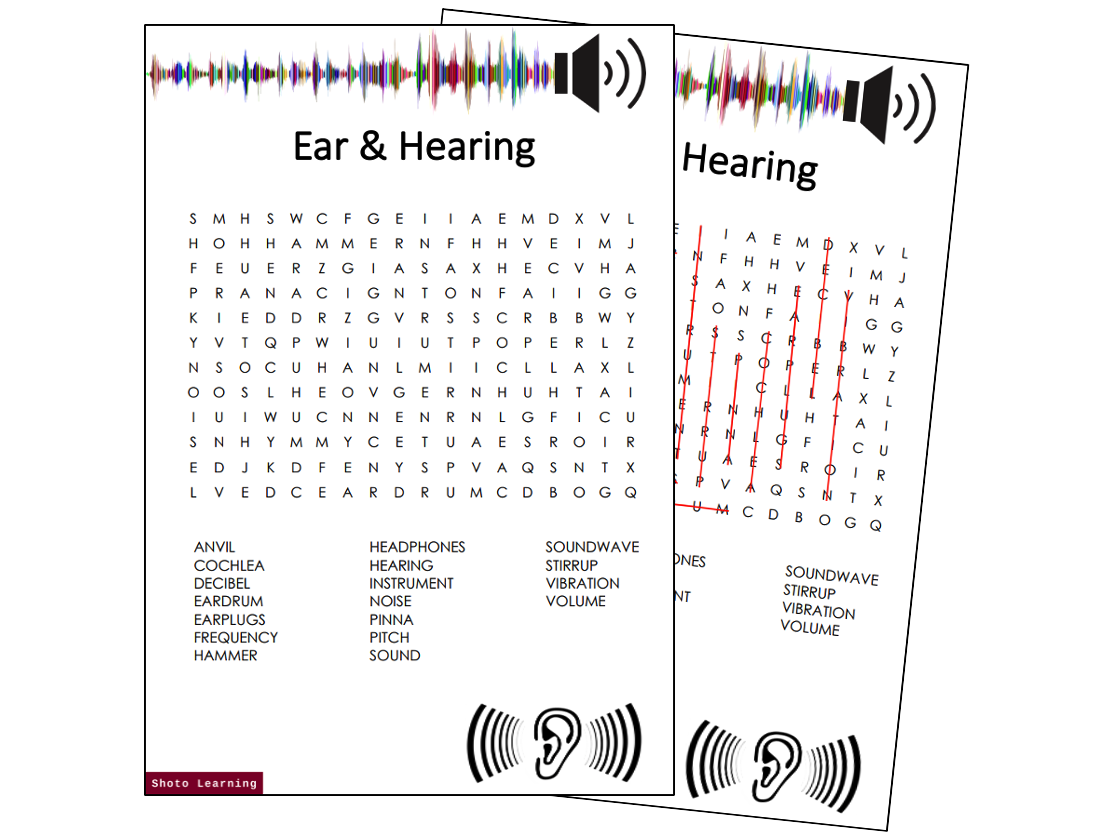 Ear and Hearing Science Activity Bundle Word Finder Scramble Puzzle