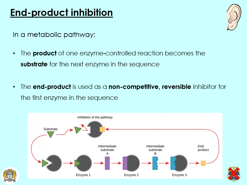 OCR A - A Level Bio, End-product inhibition (2.1.4 Enzymes) | Teaching ...