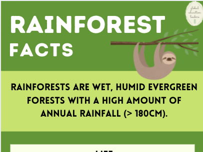 Rainforest Infographic