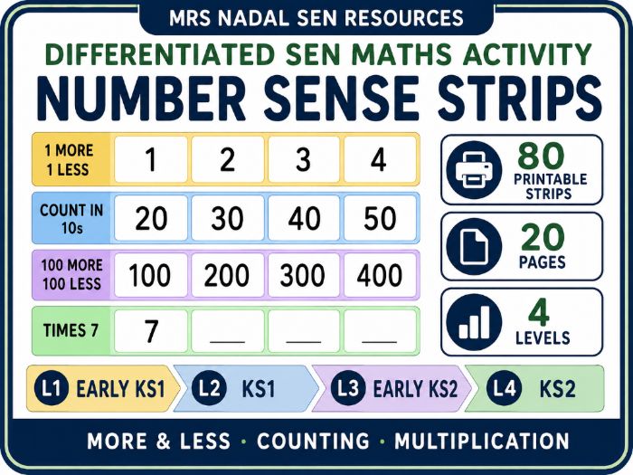 Number Sense Strips SEN Maths Activity | 80 Printable Strips | 20 Pages | 4 Levels