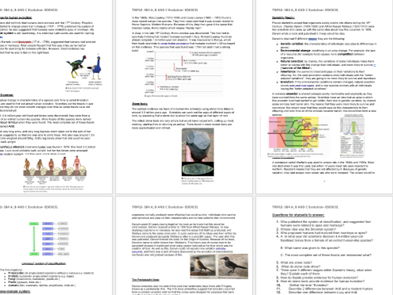 Edexcel Triple Biology- SB4 ABC Evolution information group task lesson/ revision