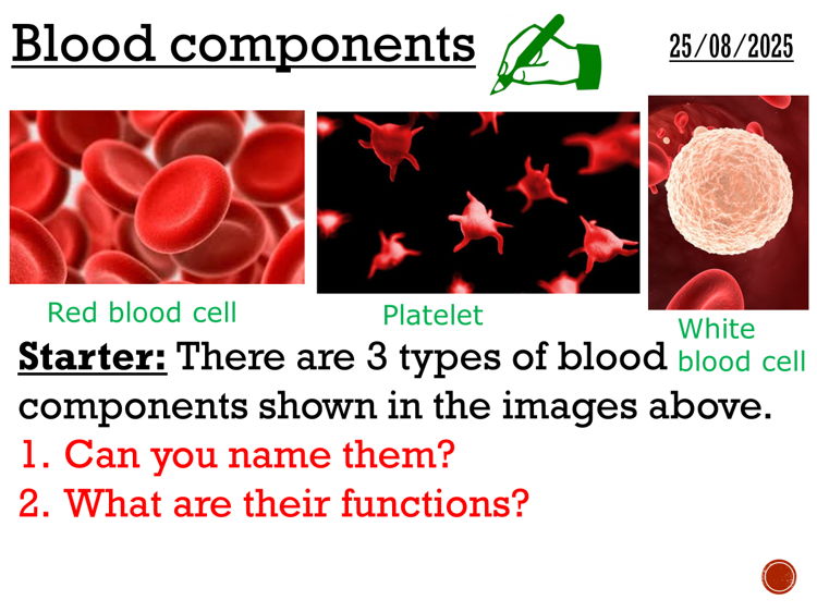 Blood components - complete lesson (GCSE 1-9)