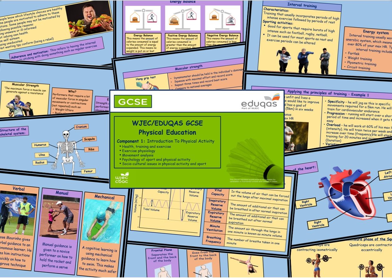 Eduqas - GCSE Physical Education – Component 1 - Complete PowerPoint - Massive Bundle!