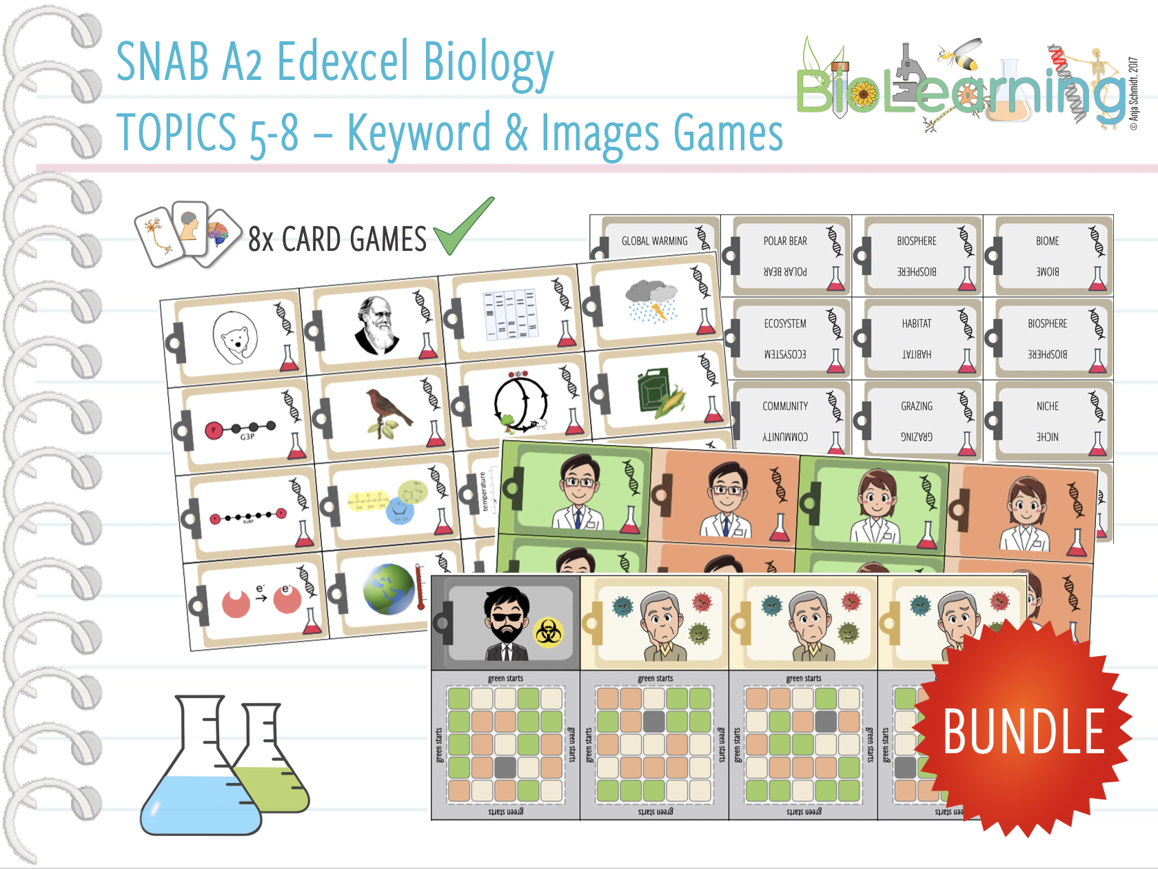 Snab coursework 06 picture