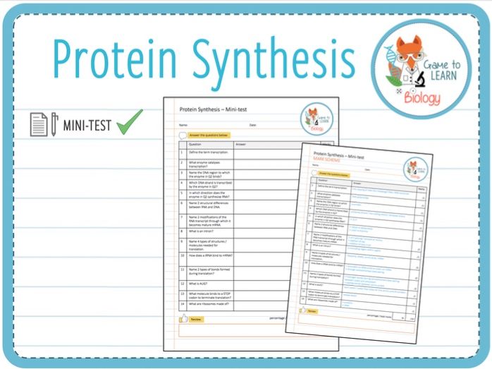 Protein synthesis Minitest (KS5) Teaching Resources