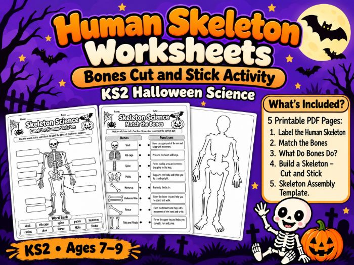 Human Skeleton Worksheets | Bones Cut and Stick Activity