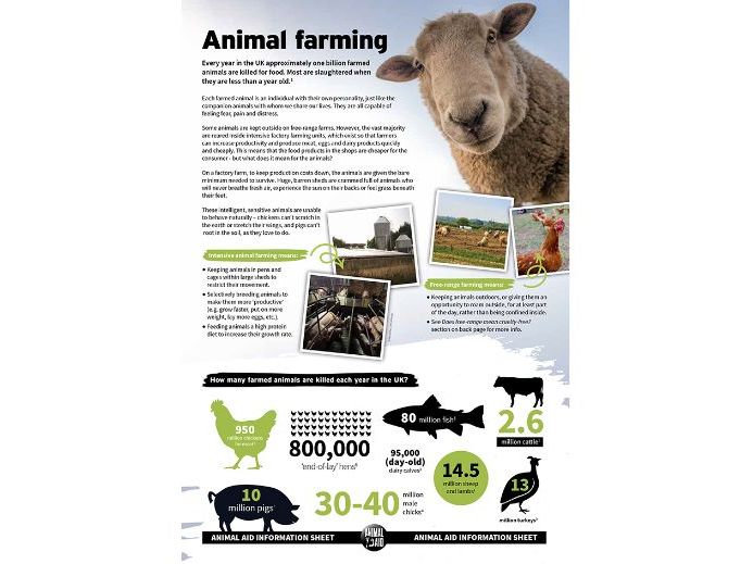 Animal farming factsheet Teaching Resources