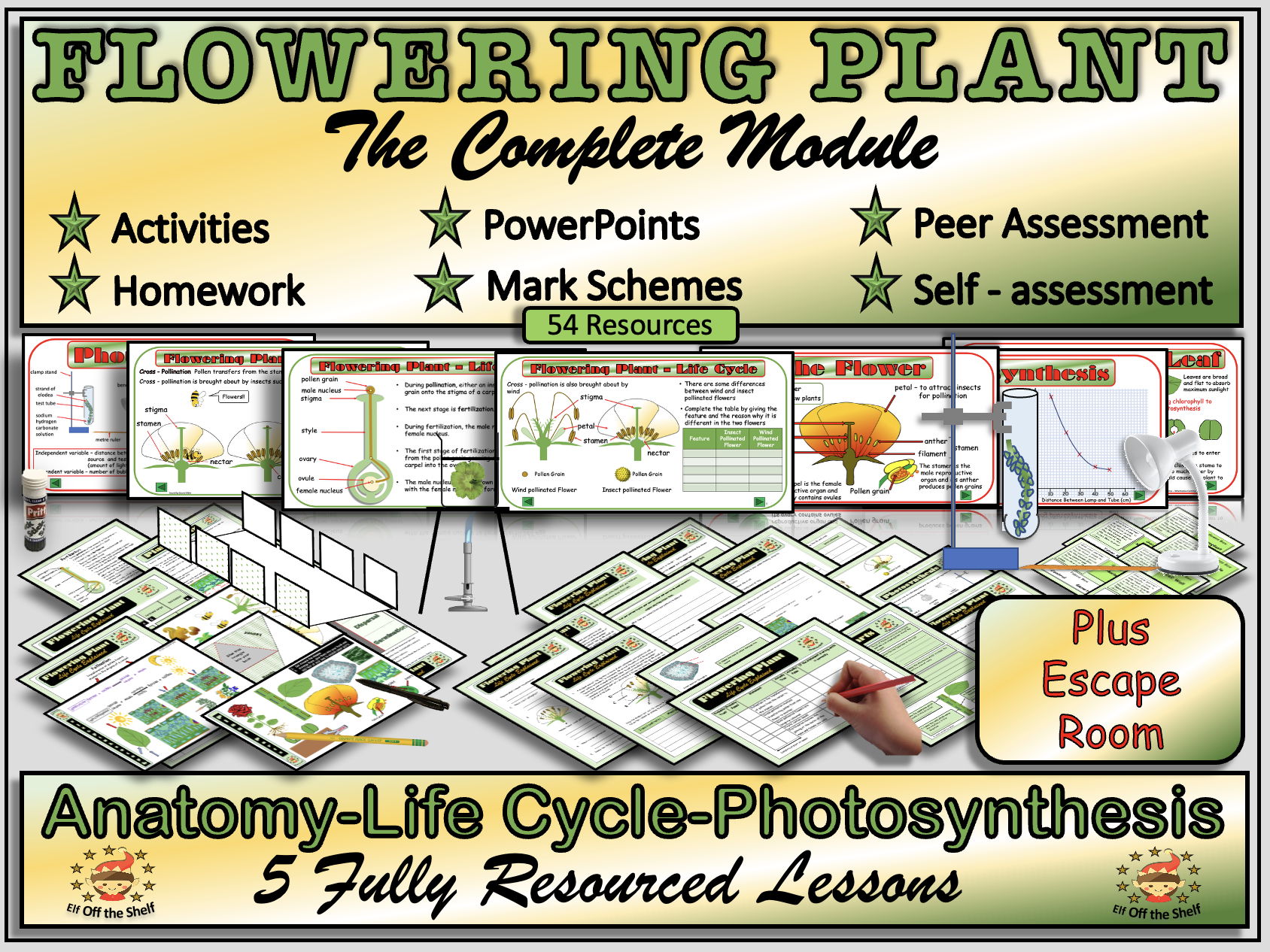 Plant Anatomy Lifecycle and Photosynthesis 5 FullyResourced Lessons Plus Escape Room KS3