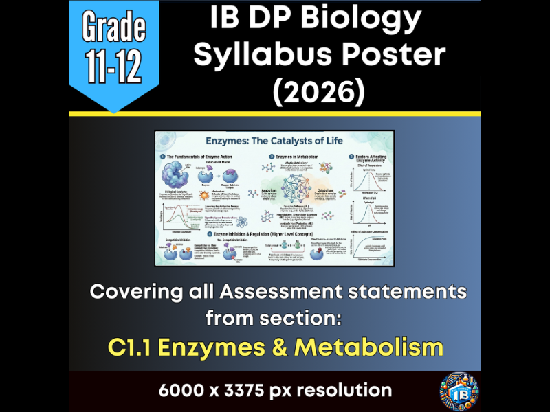 IB DP Biology Digital Infographic Poster: C1.1 Enzymes (2026)