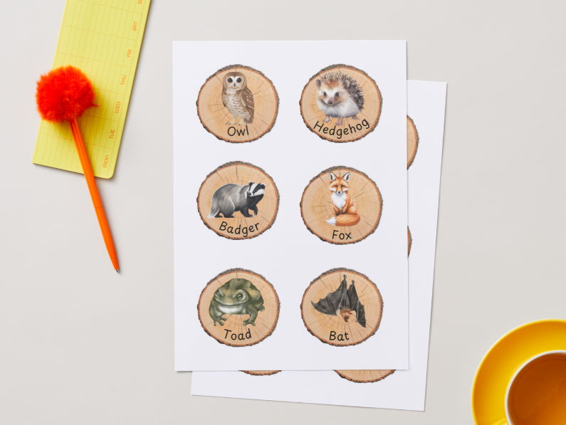 Magic Night Time Animals