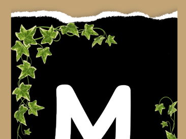Maths Bunting - Ivy Range