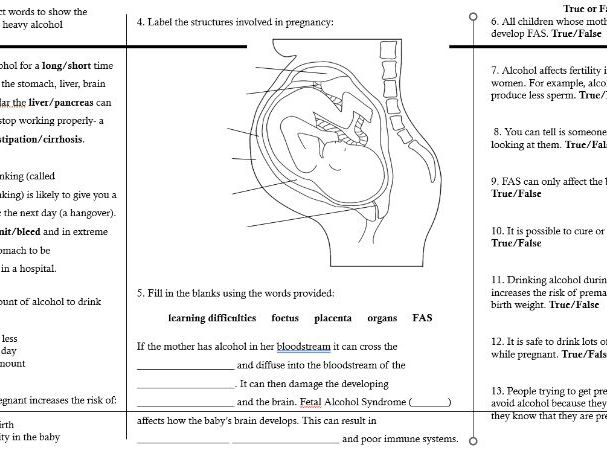 KS3: Alcohal