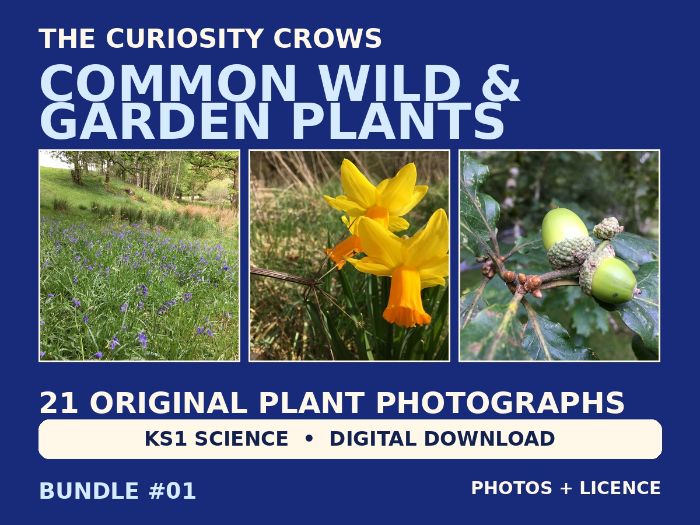 KS1 Common Wild and Garden Plants Photo Bundle | 21 Images