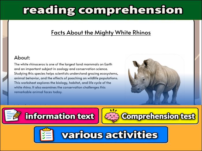 Facts About the Mighty White Rhinos - zoology & Activities