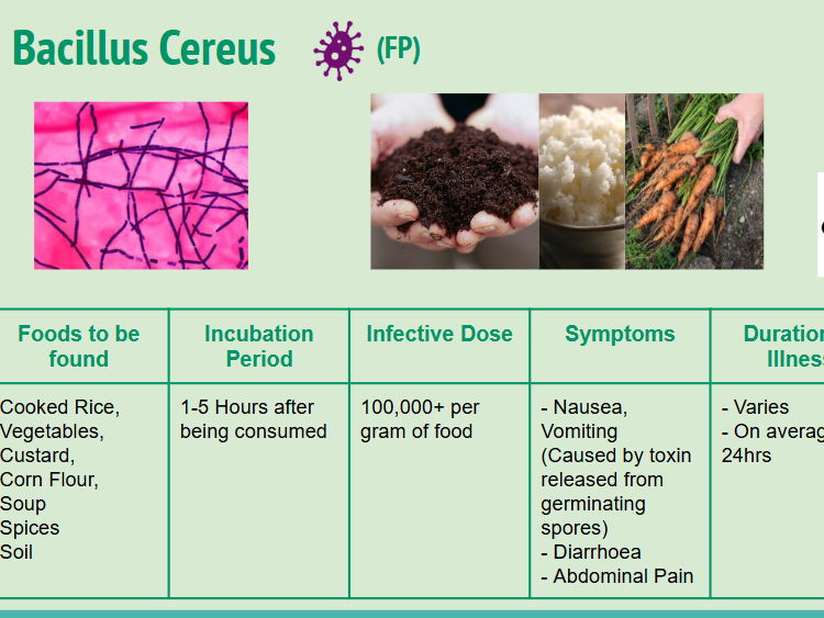 Wjec - L3 Food Science & Nutrition: Unit 1 Chapter 1 Microorganisms & Food Safety