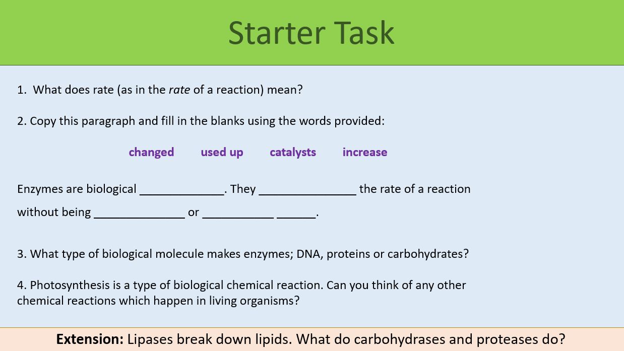 Enzymes Lesson GCSE Biology Teaching Resources