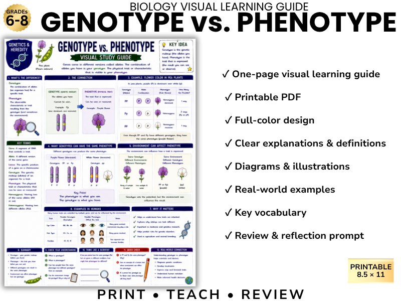 GENOTYPE vs. PHENOTYPE | Biology Visual Learning Guide | Grade 8 & Middle School Science