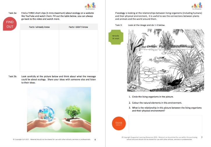 ECOLOGY & FOOD WEBS - science workbooklet