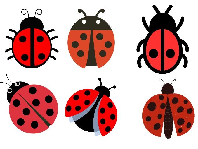 Ladybird Doubling Activity to 6 – Maths Cards with Display (Use Pom Poms / Loose Parts)